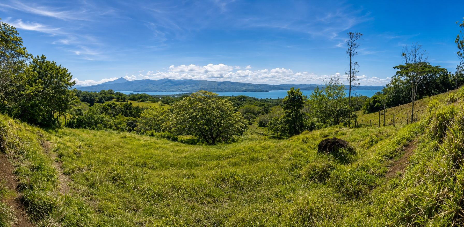 Panorama from the top of the property