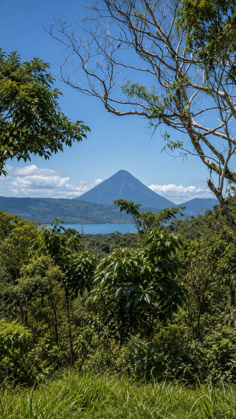 Vulkan Arenal, gesehen über den See hinweg, gerahmt von Bäumen auf dem Grundstück